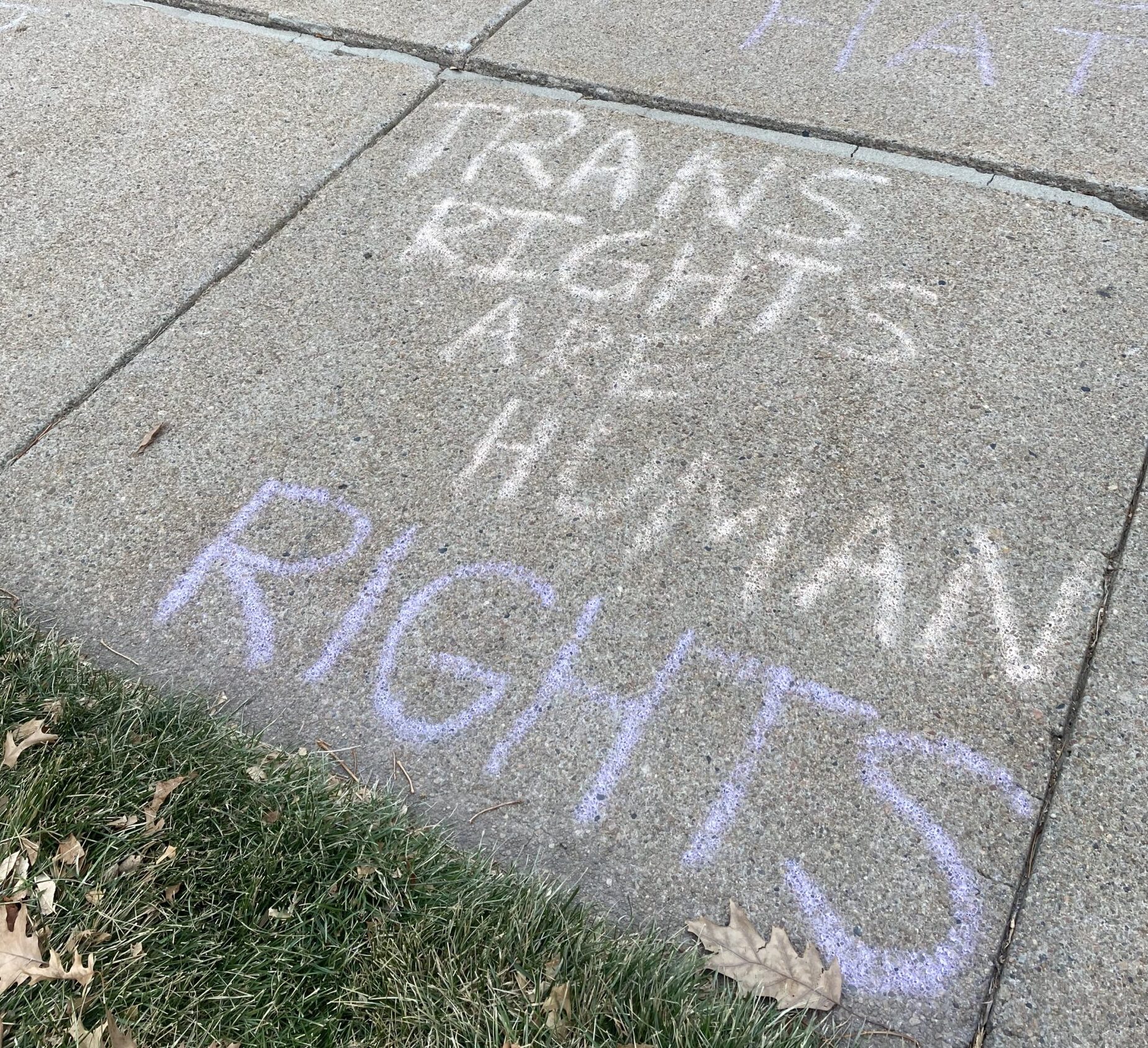 trans rights