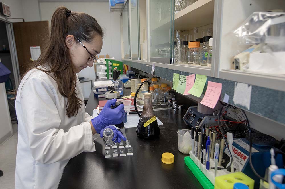 Woman with long dark ponytail and wearing glasses and a lab coat works in a laboratory.